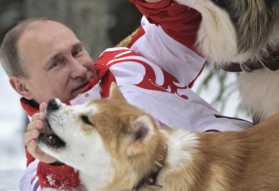 Newsweek про Путина собака