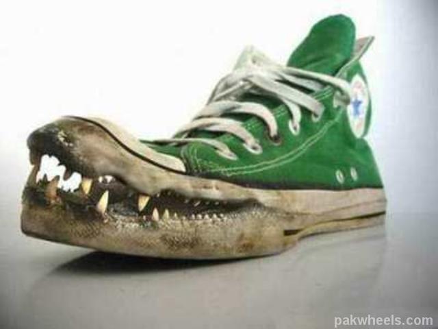 corocodile-or-alligator-converse-funny-shoes_HJK_PakWheels(com)