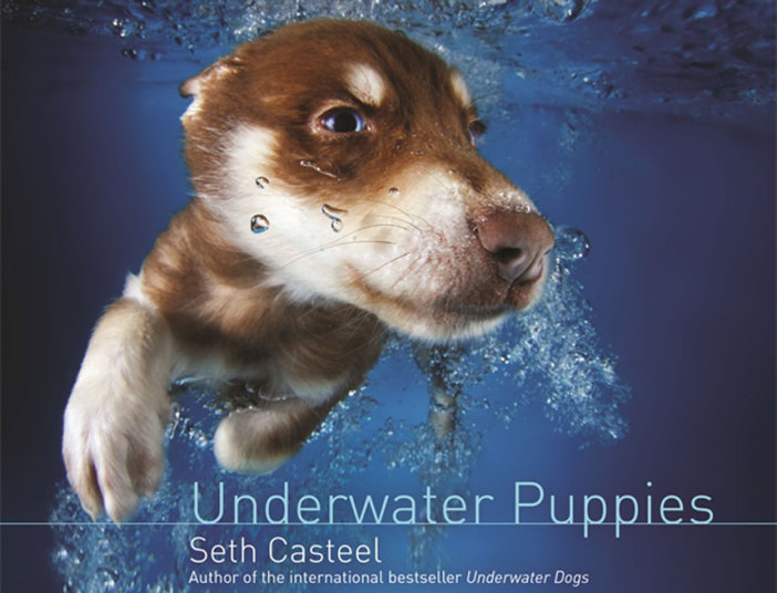 underwater-puppies_3040299k