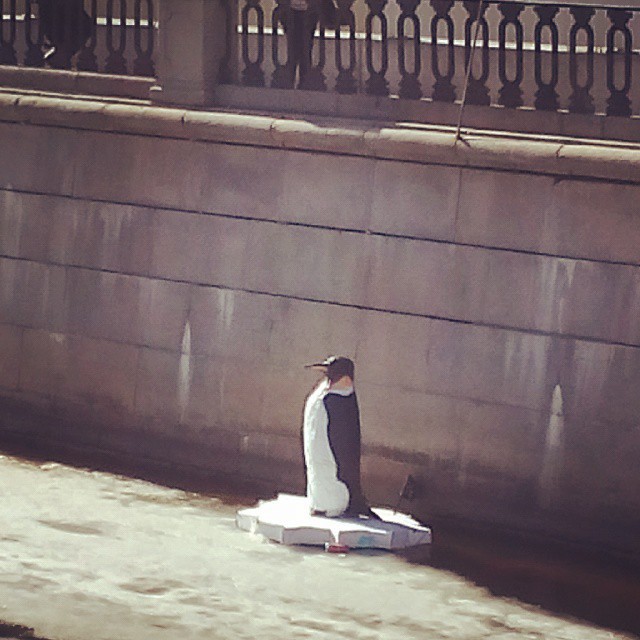 Пингвин в канале Грибоедова 3