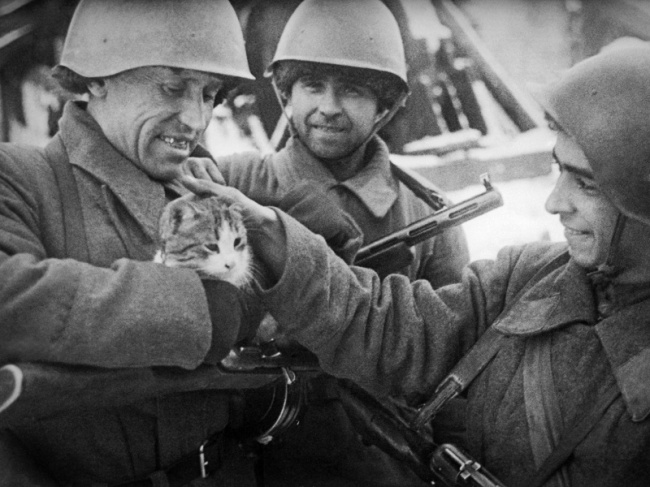 День Победы А Кричевский с кошкой в Сталинграде